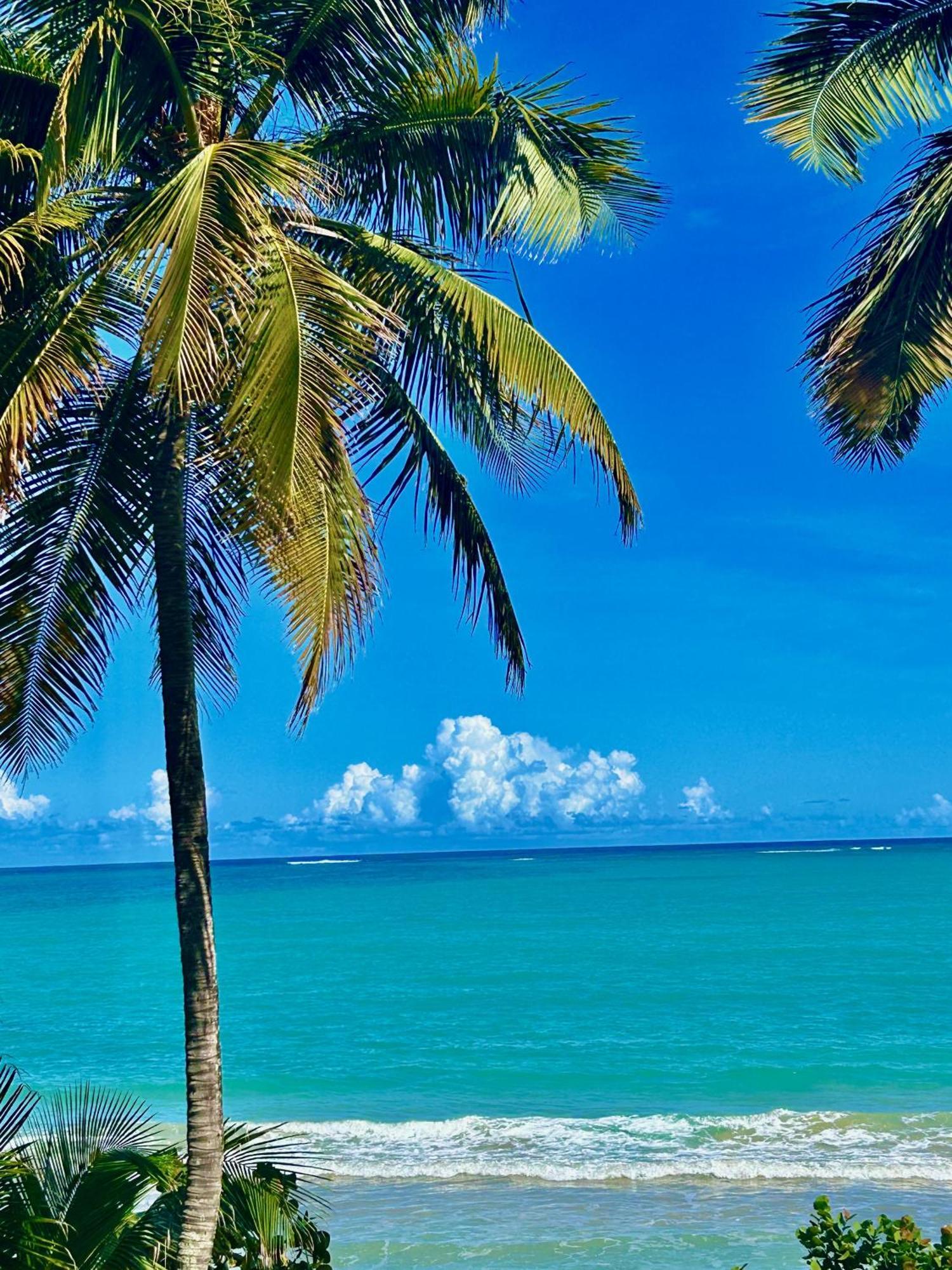 Casa Lima In Villa Palmeras ซานฮวน ภายนอก รูปภาพ